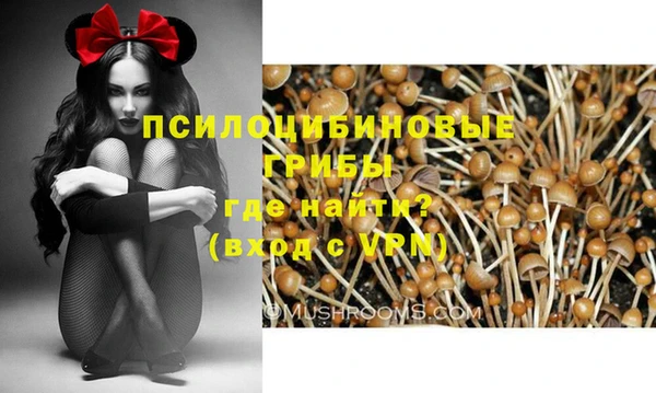 мескалин Няндома