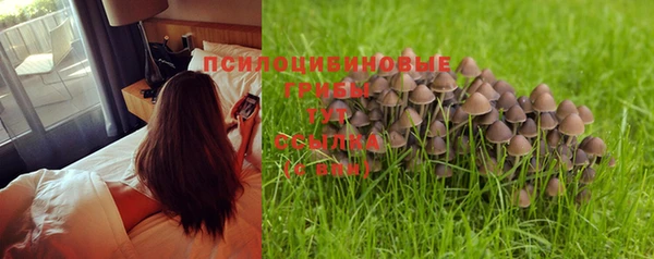тгк Нягань
