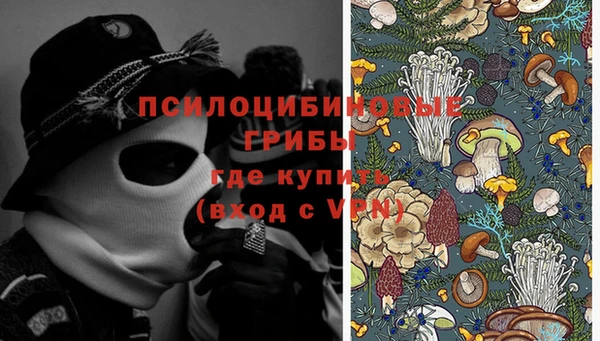 мескалин Няндома